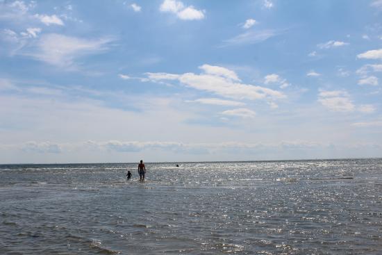 Mengenal Potensi Pantai Naga Jaya di Desa Naga Kisar