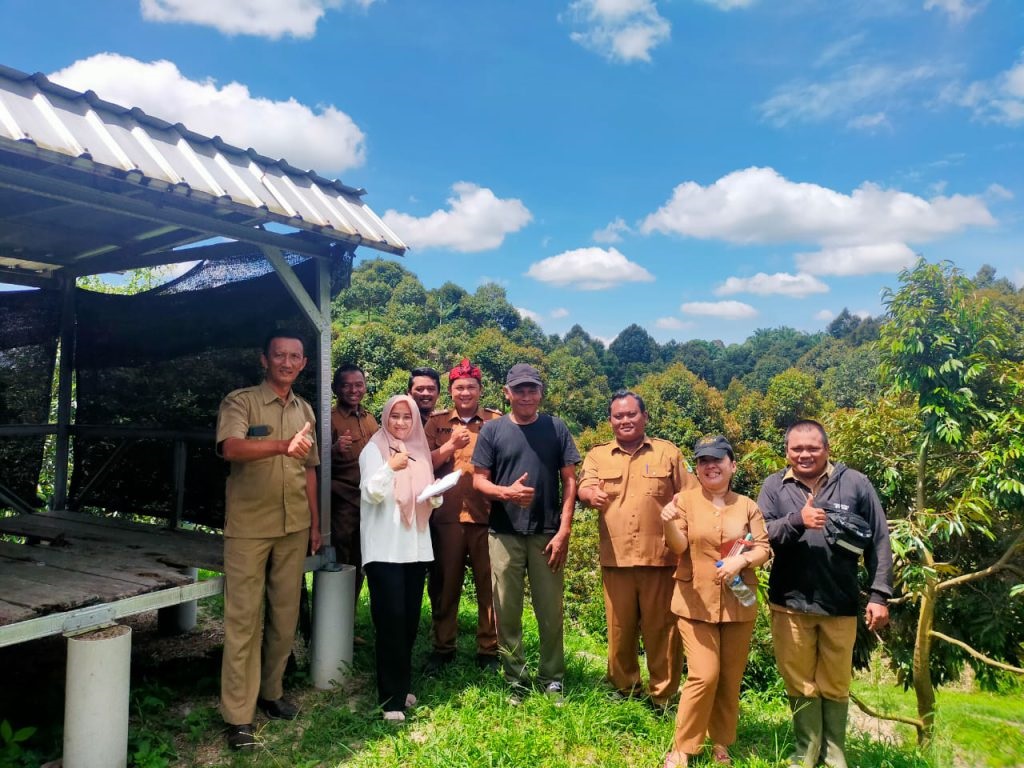 “D’King Farm Durian” di Sergai